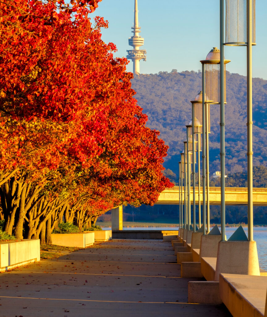 Canberra, ACT rent roll for sale