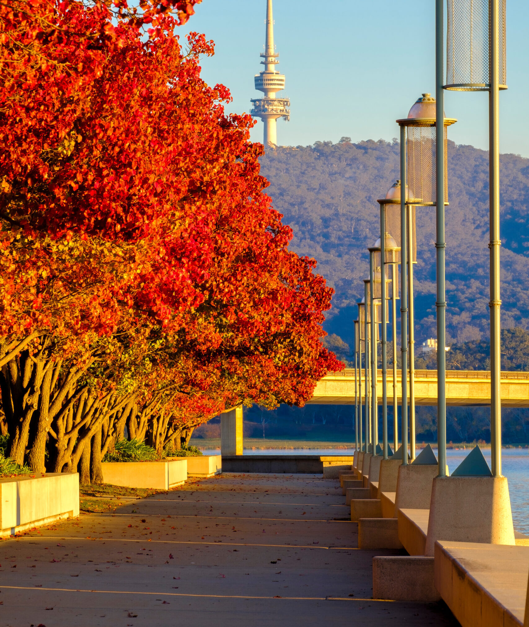 Canberra, ACT rent roll for sale