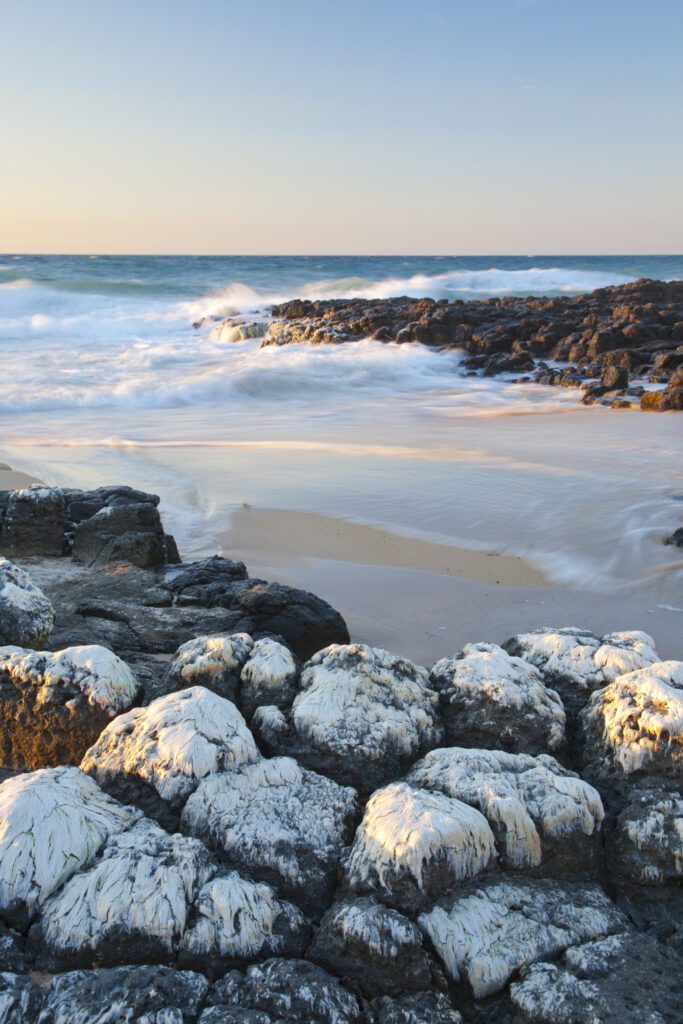 South West WA Real Estate Business for Sale