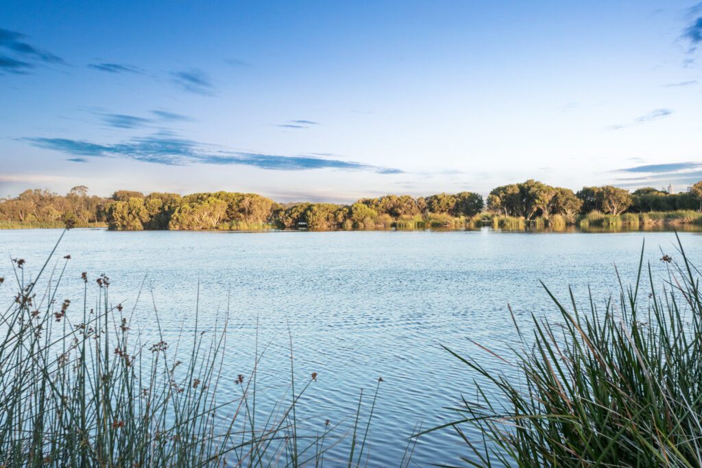 Perth Strata Roll For Sale