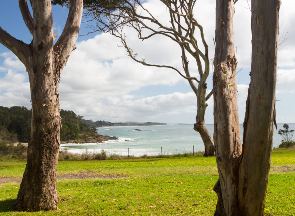 Central Coast Sydney Real Estate Business For Sale