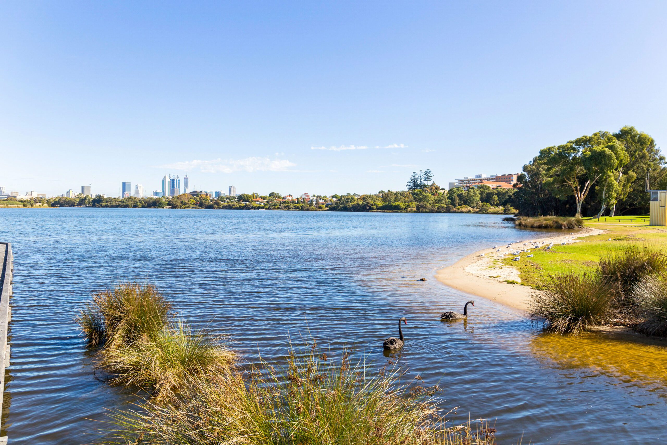 Rent Roll For Sale Perth