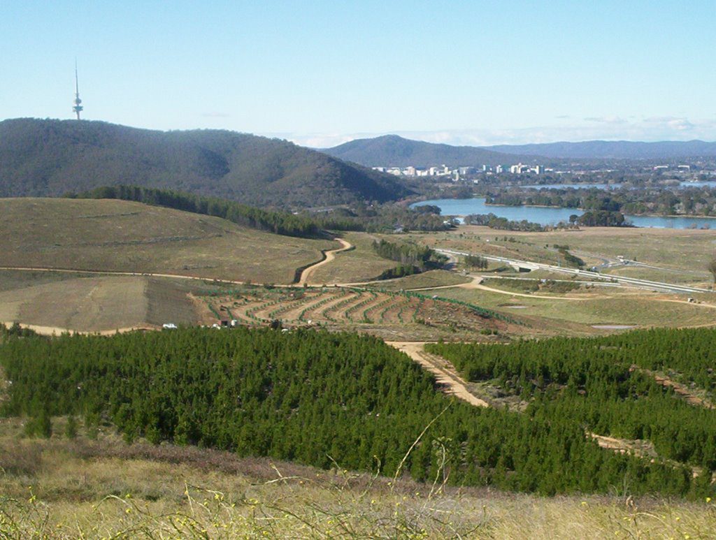 Canberra Rent Roll For Sale